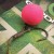 Gotovi Predvez Gardner Pop Up Hook Aligner Rig Barbless