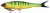 Gumena mamac Berkley Nessie 22cm 57gr Firetiger