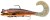 Gumena Mamac Daiwa Grandwave D-Wolf Curly Gold Flake
