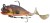 Gumena Mamac Daiwa Grandwave D-Wolf Curly