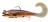 Gumena Mamac Daiwa Grandwave D-Wolf Curly