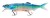 Gumena Mamac Daiwa Prorex Hybrid Swimbait 25cm 125gr