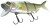 Gumena Mamac Daiwa Prorex Hybrid Swimbait 25cm 125gr