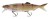 Gumena Mamac Daiwa Prorex Hybrid Swimbait 25cm 125gr