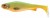 Gumena Mamac Daiwa Prorex Lazy Shad 16cm 54gr Maslinasta Roach UV