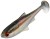 Gumena Mamac Daiwa Prorex Live Roach