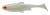 Gumena Mamac Daiwa Prorex Live Roach