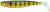 Gumena mamac Fox Rage Pro Shad Natural Classics 14cm UV Stickleback