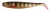 Gumena Mamac Fox Rage Pro Shad Super Natural 28cm Jasnovidna riba