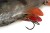 Gumena Mamac Fox Rage Ultra Natural Perch Replicant