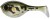 Gumena Mamac Illex Dera Ball 8,2cm 26gr Tonosama Frog
