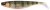 Gumena Mamac Jaxon Intensa Max Soft Lures 23cm F