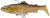 Gumena mamac Savage Gear 3D Pastrva R.Shad FS 17cm/90g Clear Chub