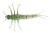 Gumena Mamac Savage Gear 3D TPE Mayfly Nymph 5cm 2,5gr Zeleni Gumena Mamac Savage Gear 3D TPE Mayfly Nymph 5cm 2,5gr Zeleni