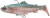 Gumena mamac Savage Gear 3D Trout R.Shad FS 17cm/90g Clear Rainbow