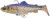 Gumena mamac Savage Gear 3D Trout R.Shad FS 20,5cm/135g Clear Blue Trout