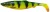 Gumena Mamac Savage Gear 4D Herring Shad 13cm 17gr Firetiger