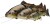 Gumena Mamac Savage Gear 4D Line Thru Pastrva 30cm 303gr S Pיקלмишem