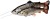 Gumena Mamac Savage Gear 4D Line Thru Pulsetail Trout SS 25cm 185gr Albino B