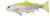 Gumena Mamac Savage Gear 4D Line Thru Trout 20cm 93gr Limunska Pastrva