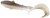Gumena Mamac Westin Bullteez Curltail 8cm 3gr