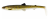 Gumena Mamac Westin BullTeez Shadtail 24cm 107gr Prirodni Šaran
