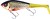 Gumena Mamac Westin Swim Tail Sinking 12cm 68gr Pravi Rudd