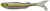 Gumená Nástraha Berkley AT Minnow 25cm 106g Ayu