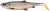 Gumená nástraha Savage Gear 3D Herring Shad V2 28cm 150g Glitter Fegis