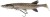 Gumená Nástraha Savage Gear 3D Pike Shad 20cm 65g White Pike