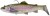 Gumená Nástraha Savage Gear 3D Trout Shad 20,5cm 135g Clear Rainbow