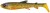 Gumová Nástraha Savage Gear 3D Whitefish Shad 23cm 94gr Hugo