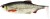 Gumená nástraha Westin Ricky The Roach Shadtail 18cm 85g Real Roach