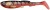 Gumeni Mamac Abu Garcia Beast Paddletail