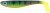 Gumeni Mamac Abu Garcia McPerch Shad Svartzonker 7,5cm