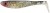 Gumeni Mamac Abu Garcia McPerch Shad Svartzonker 7,5cm