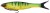 Gumeni mamac Berkley Nessie 17cm 28gr Firetiger