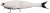 Gumeni mamac Berkley Nessie 22cm 57gr Albino