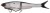 Gumeni mamac Berkley Nessie 22cm 57gr Roach