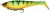 Gumeni mamac Berkley PowerBait Cullshad Shallow 15cm Firetiger