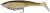 Gumeni mamac Berkley PowerBait Cullshad Shallow 15cm Gold Shad