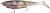 Gumeni mamac Berkley PowerBait Cullshad Shallow 20cm Perch