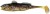 Gumeni Mamac Berkley Pulse Realistic Goby 12cm