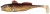 Gumeni Mamac Berkley Pulse Realistic Goby 12cm