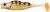 Gumeni Mamac Berkley Pulse Realistic Perch 11cm