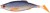 Gumeni Mamac Berkley Pulse Realistic Roach 15cm