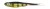 Gumeni Mamac Berkley Urbn Hollow Belly V-Tail 7,5cm