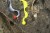 Gumeni Mamac Black Cat Mega Curl Tail 22cm