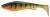 Gumeni Mamac Daiwa Prorex Lazy Shad 20cm 85gr