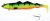 Gumeni Mamac Jaxon Intensa Troll 30cm 426gr 103 E